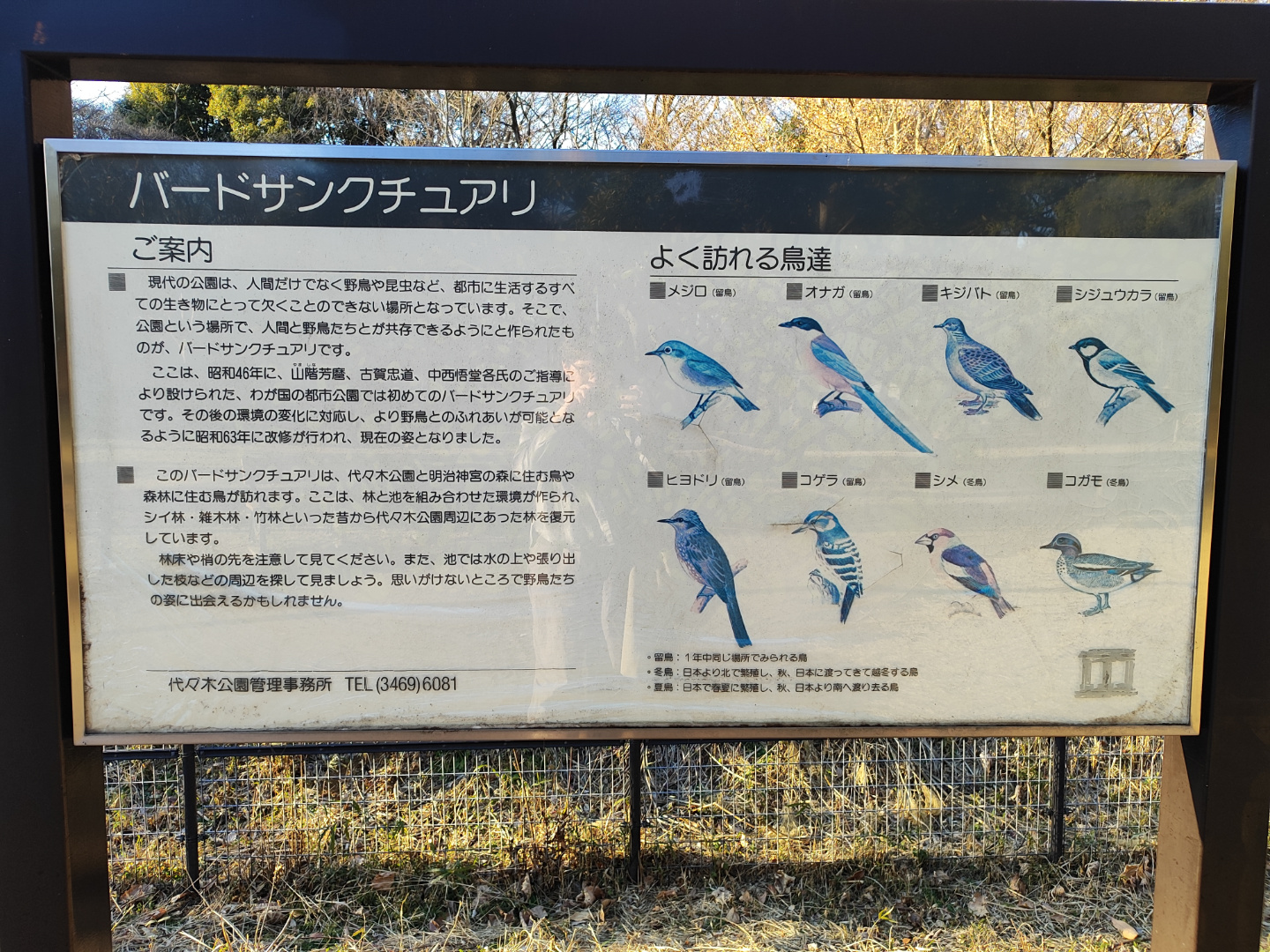 bird info sign in Yoyogi Park